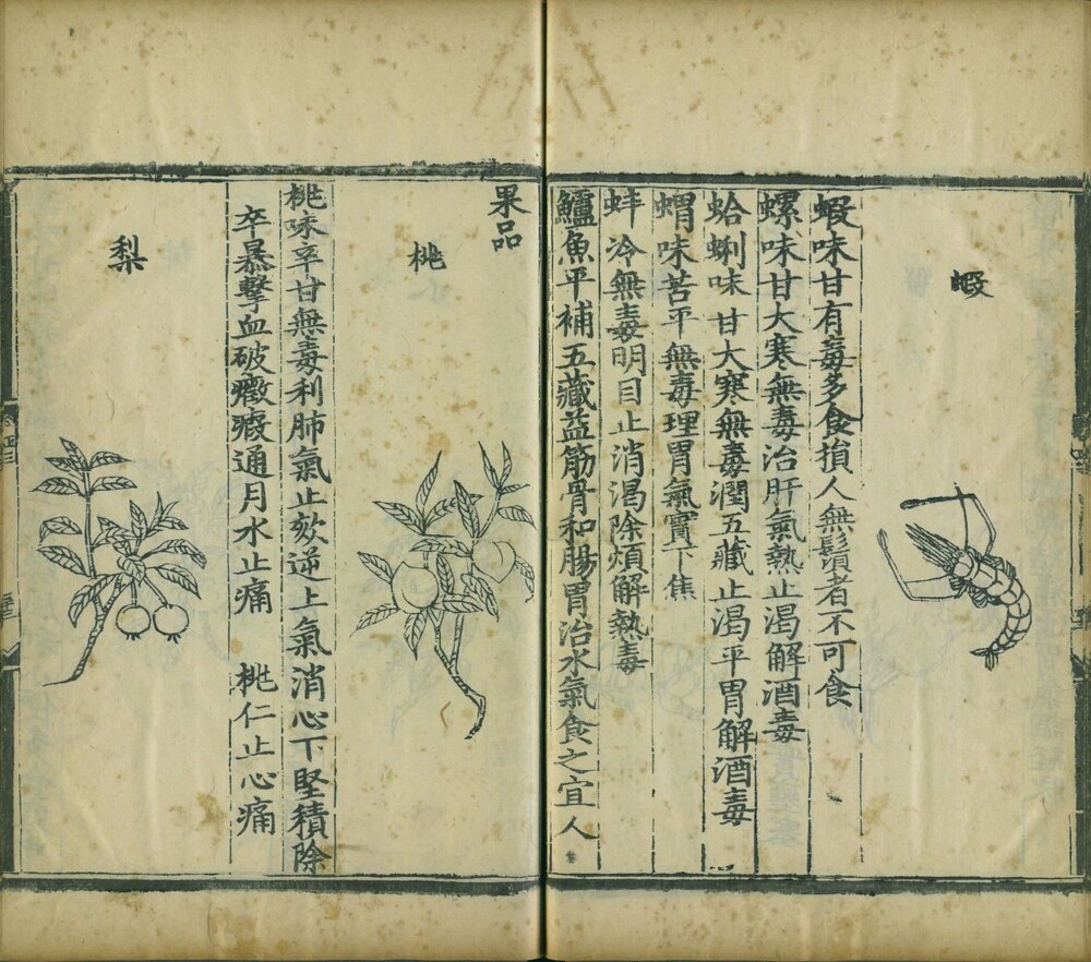 饮膳正要 明景泰七年(丙子 1456)内府刊(后印)本 ?
