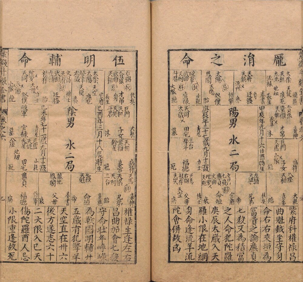 新锓希夷陈先生紫微斗数全书 明代南阳堂(或 葆和堂)写刻刊本