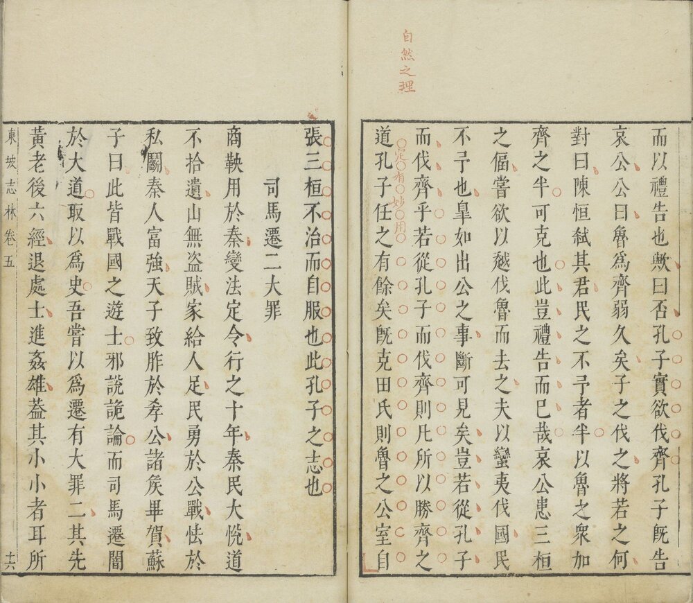 东坡先生志林.5 卷. 宋. 苏轼撰. 明. 焦竑评. 明末朱墨套印本