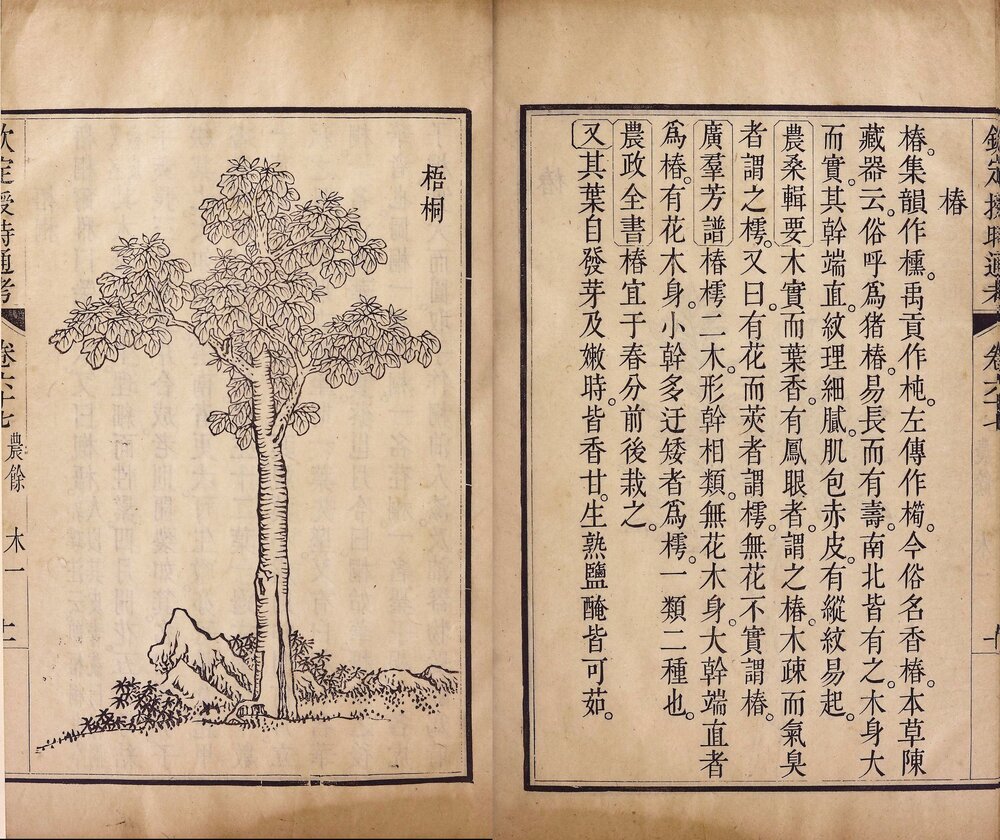 钦定授时通考. 七十八卷. 清. 弘昼. 鄂尔泰. 张廷玉等奉敕纂修. 清乾隆七年武英殿刊本
