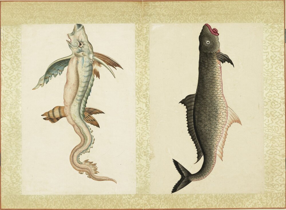 海怪图记. 一册. 十六开. 纸本设色. 清绘本