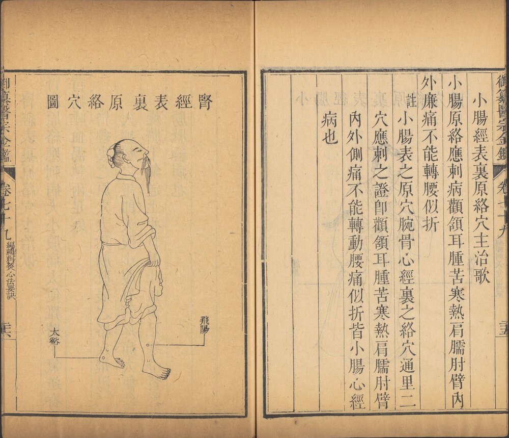御纂医宗金鉴. 九十卷. 清吴谦等编纂. 清乾隆七年武英殿刻本