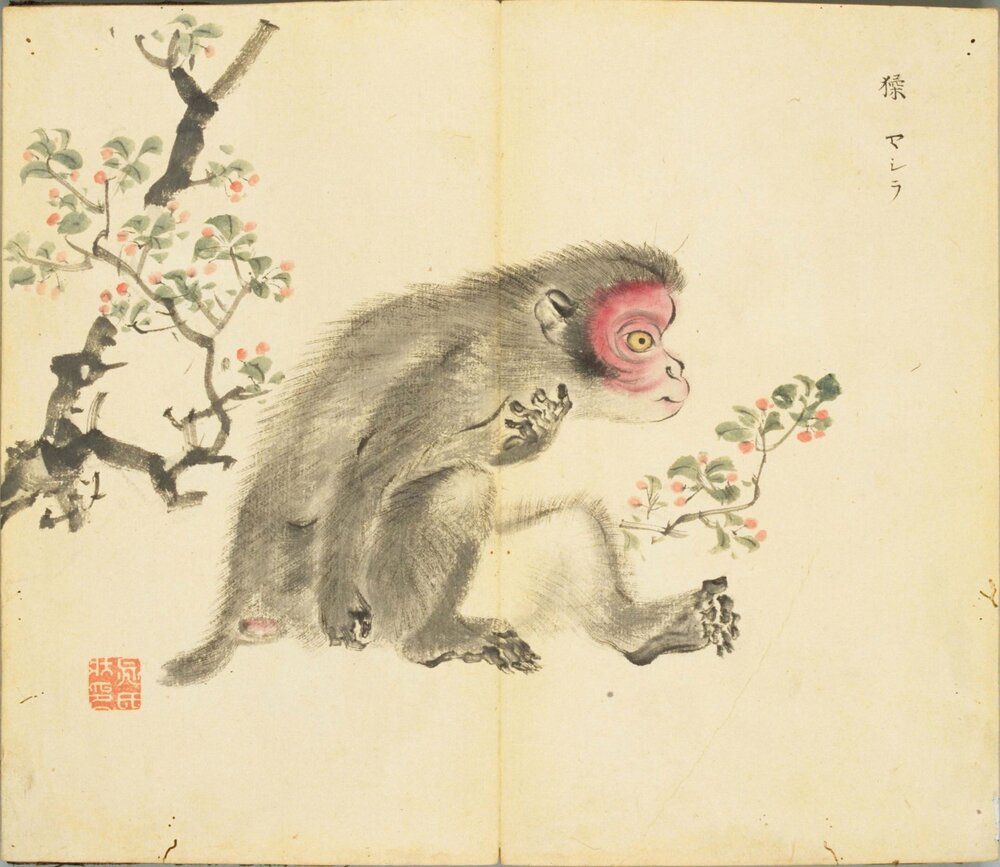 诗经名物图解. 高清. 十贴. 細井徇撰绘. 弘化 4 年自序