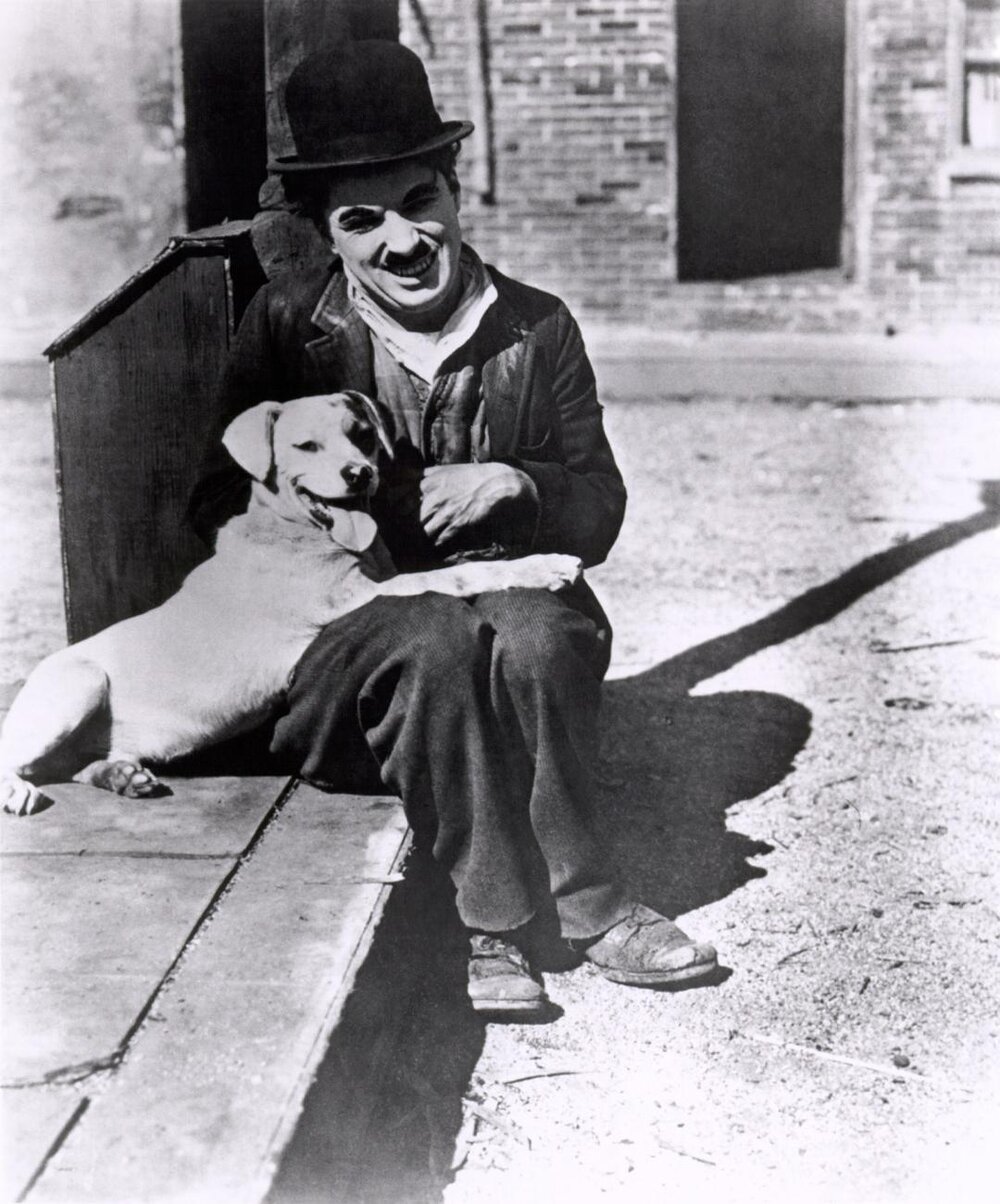 1918.狗的生活 默片 黑白 卓别林 标清 美国喜剧短片 豆瓣8.7 A.Dogs.Life