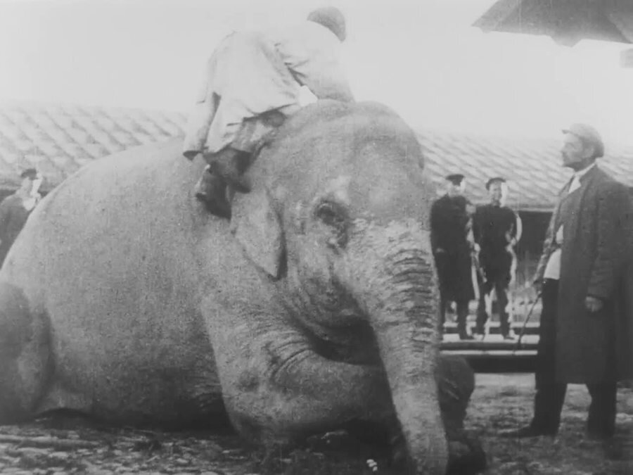 1924.电影眼睛 默片 黑白 苏联纪录片 标清 豆瓣8.1 Kinoglaz.