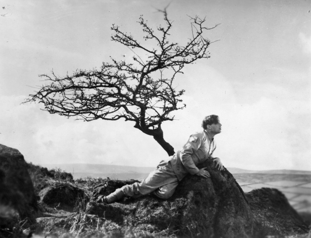 1929.达特穆尔的小屋 默片 黑白 清晰 瑞典英国犯罪 豆瓣8.1 A Cottage on Dartmoor