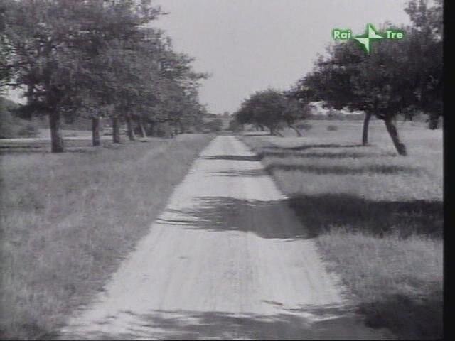 1933.包法利夫人 黑白 中字 高清 法国剧情 豆瓣7.0 D5.MiniSD-TLF