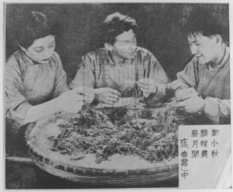 1933.春蚕 默片黑白 标清 剧情片 豆瓣6.8