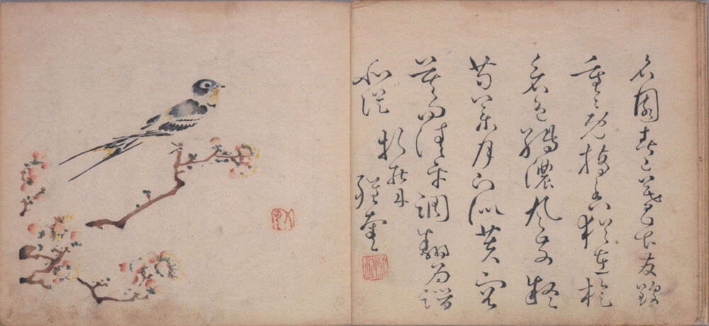 十竹斋书画谱及相关画册绘刻印于一体木版水印版画