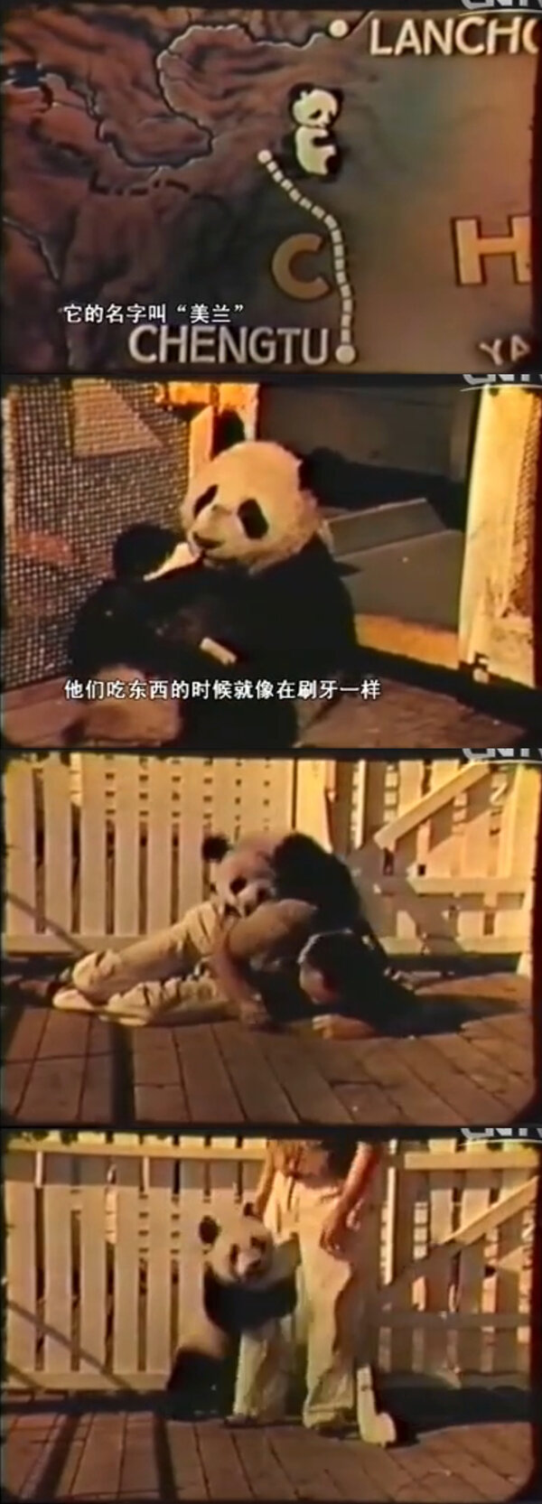 1941.苦干 中国不可战胜的秘密 彩色 中字 清晰 美国纪录片 豆瓣9.2 Kukan The Battle Cry of China