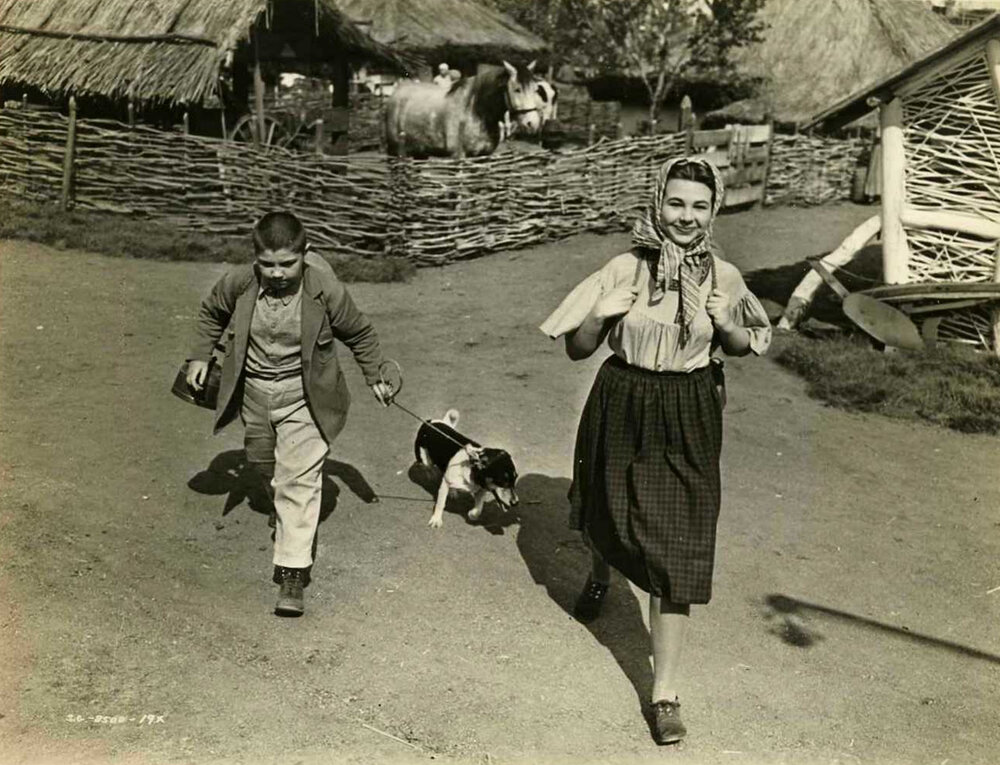1943.屠城浴血战 黑白 中字 高清 美国歌舞爱情战争 豆瓣无分 The.North.Star..1080p.BluRay.H264