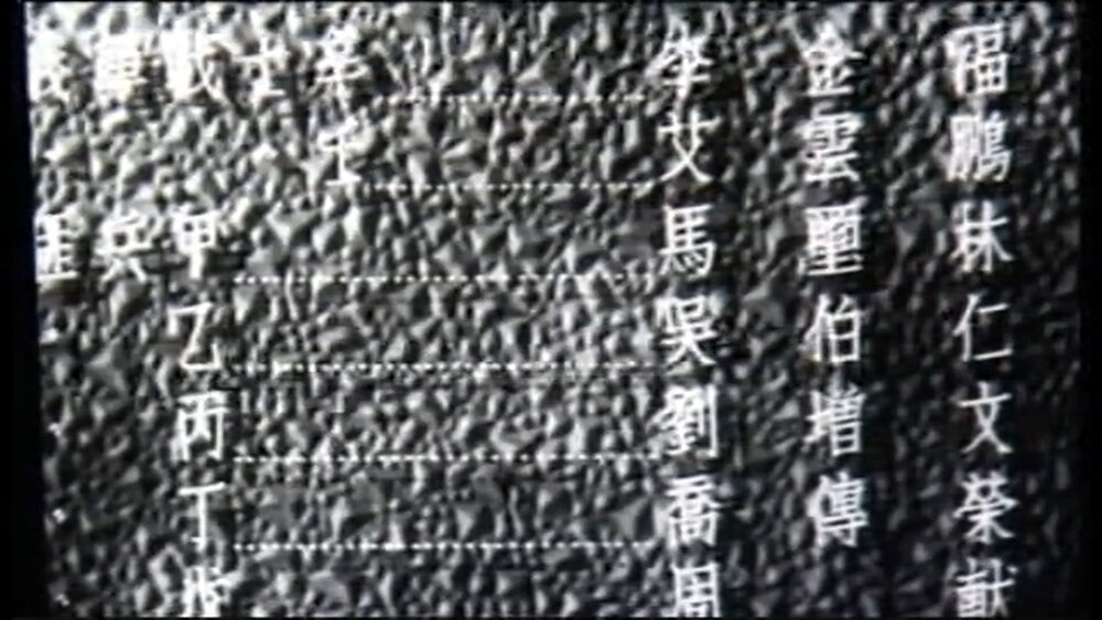 1949.回到自己队伍来 黑白 标清 东影 豆瓣无分
