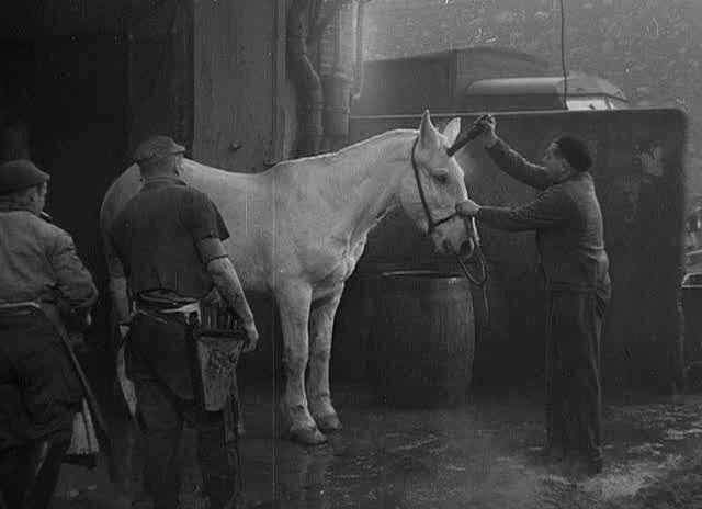 1949.动物之血 黑白中字 法国记录短片 标清 豆瓣8.3 blood.of.the.beasts.720p.bluray.hevc.x265.rmteam