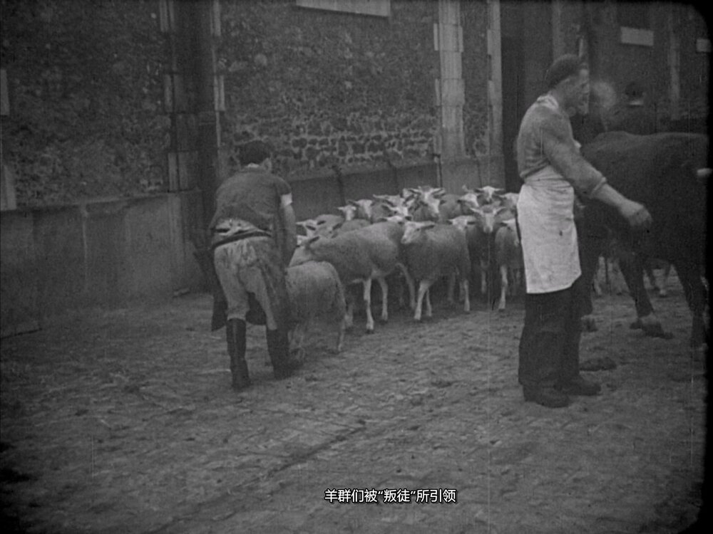 1949.动物之血 黑白中字 法国记录短片 标清 豆瓣8.3 blood.of.the.beasts.720p.bluray.hevc.x265.rmteam