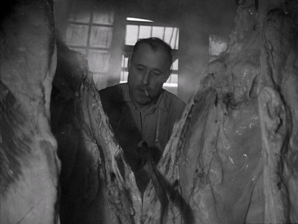 1949.动物之血 黑白中字 法国记录短片 标清 豆瓣8.3 blood.of.the.beasts.720p.bluray.hevc.x265.rmteam
