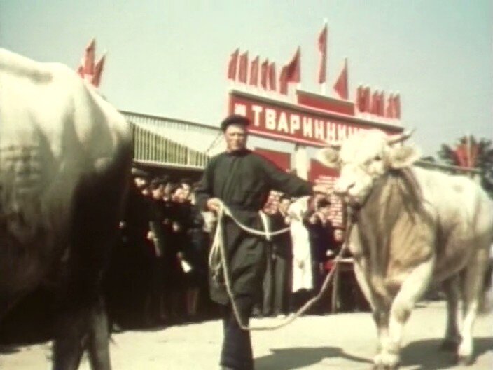 1950.丰富的夏天 彩色 中俄双语 苏联喜剧 标清 豆瓣无分 Щедрое.лето.DVDRip.X264.2AC3