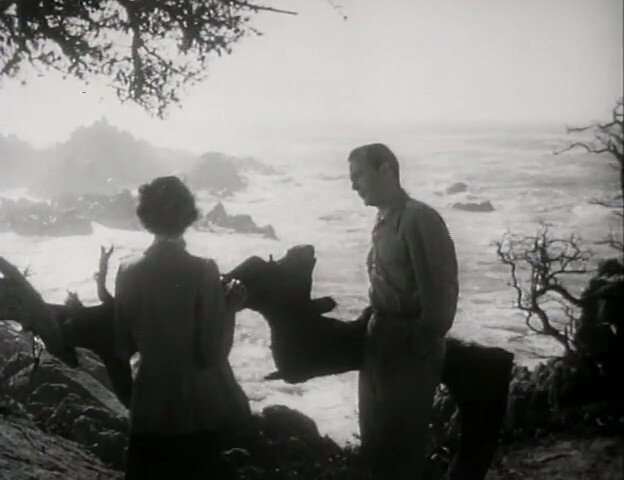 1950.心海孽魔 黑白 中字 美国黑色悬疑 高清 豆瓣无分 The Second Woman