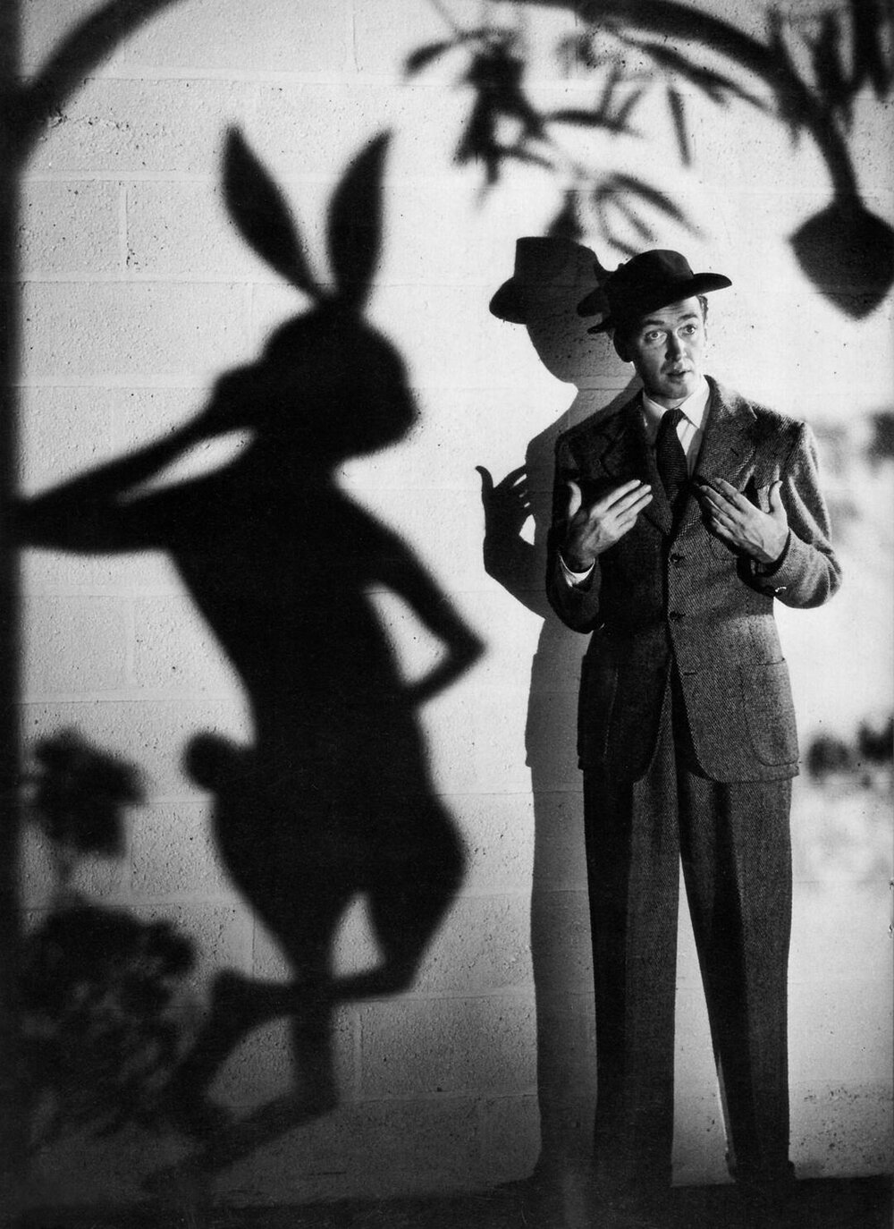 1950.我的朋友叫哈维 黑白 中字 美国喜剧奇幻 高清 豆瓣8.0 Harvey.720p.BluRay.x265.HEVC-SUJAIDR