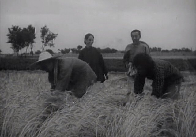 1950.儿女亲事 黑白 高清 .北影 豆瓣无分