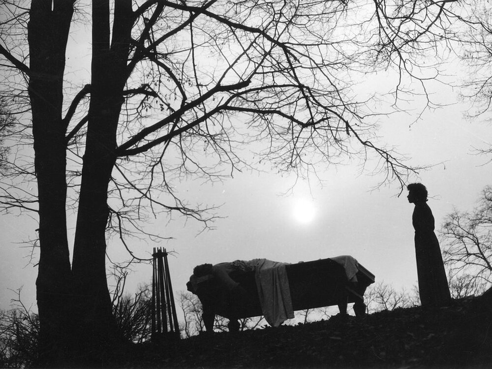 1950.可怕的孩子们.黑白 中字 高清 法国剧情 豆瓣7.3 Les.Enfants.Terribles.D9.MiniSD-TLF