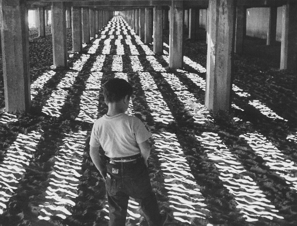 1953.小逃亡者 黑白 中字 美国剧情儿童 高清 豆瓣8.3 .Little.Fugitive.BDRip.X264
