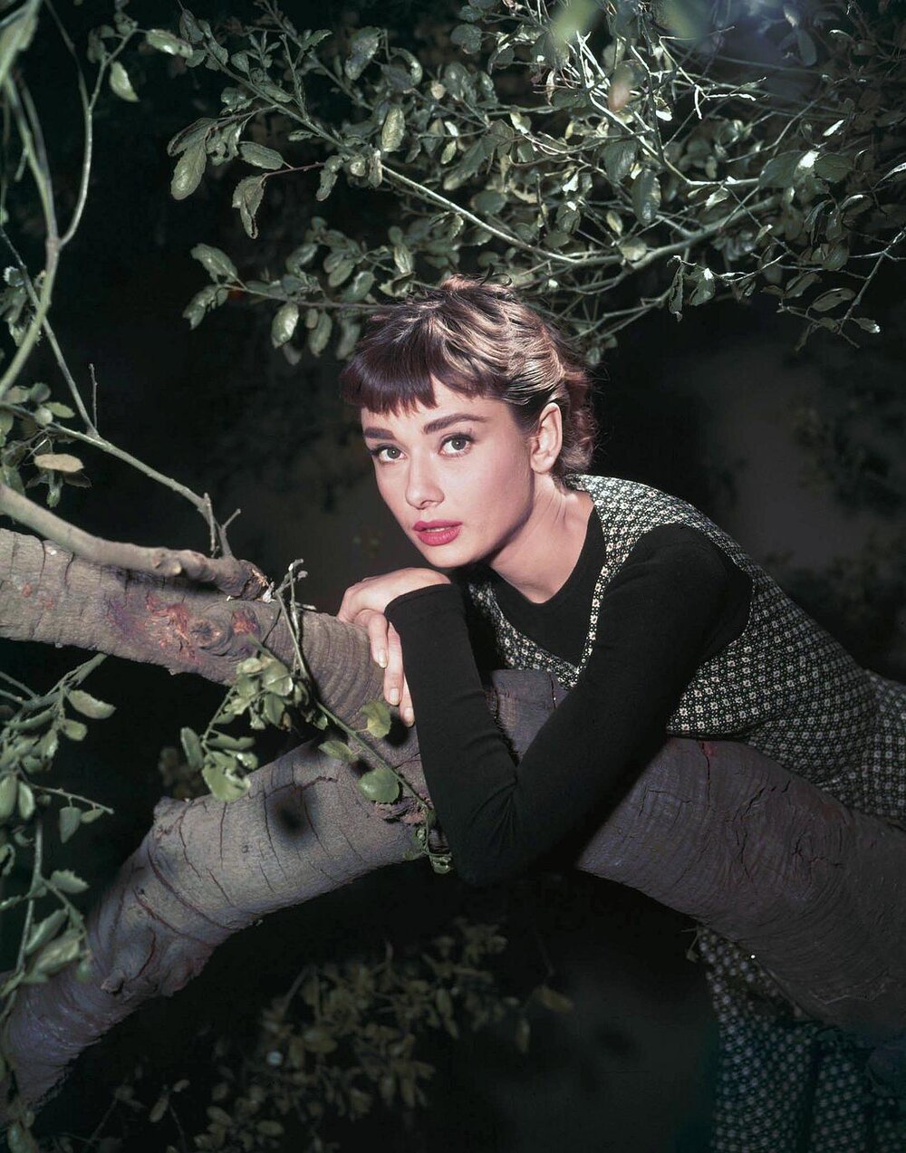 1954.龙凤配 奥黛丽·赫本系列02 Sabrina.1954.DVDRip.X264.AAC.HALFCD-NORM.Christian