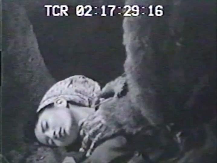 1955.獣人雪男 黑白中字 日美科幻恐怖 标清 豆瓣无分  Half Human The Story of the Abominable Snowman