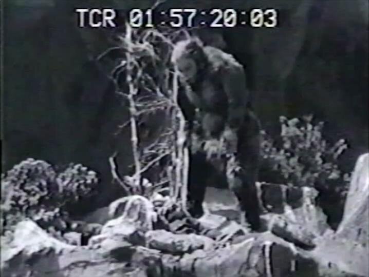 1955.獣人雪男 黑白中字 日美科幻恐怖 标清 豆瓣无分  Half Human The Story of the Abominable Snowman
