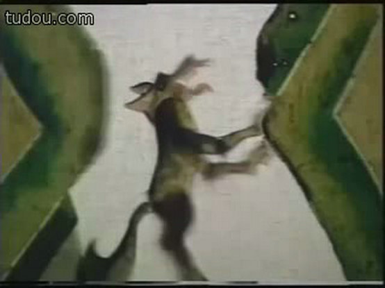 1955.会摇尾巴的狼 彩色 标清