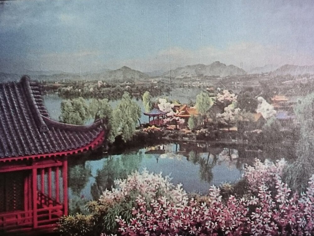 1956.白蛇传 彩色中字 日本奇幻爱情 标清 豆瓣6.8 白夫人の妖恋.