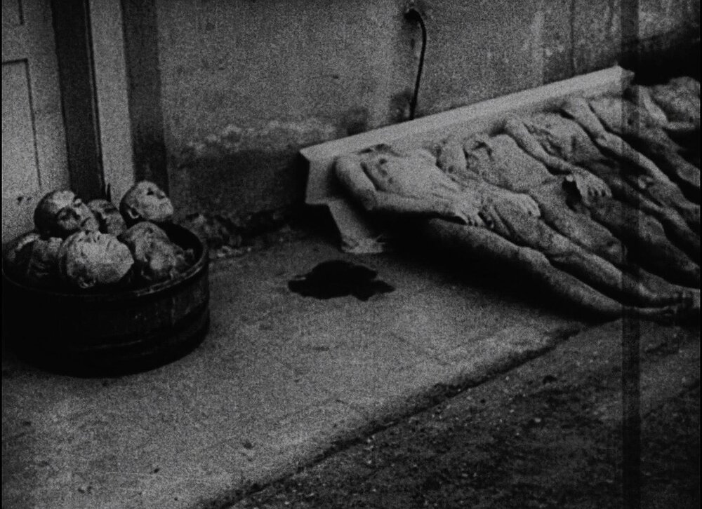 1956.夜与雾.黑白 中字 法国纪录片短片 标清 豆瓣9.2 Nuit.et.brouillard.D5.2Audio.MiniSD-TLF