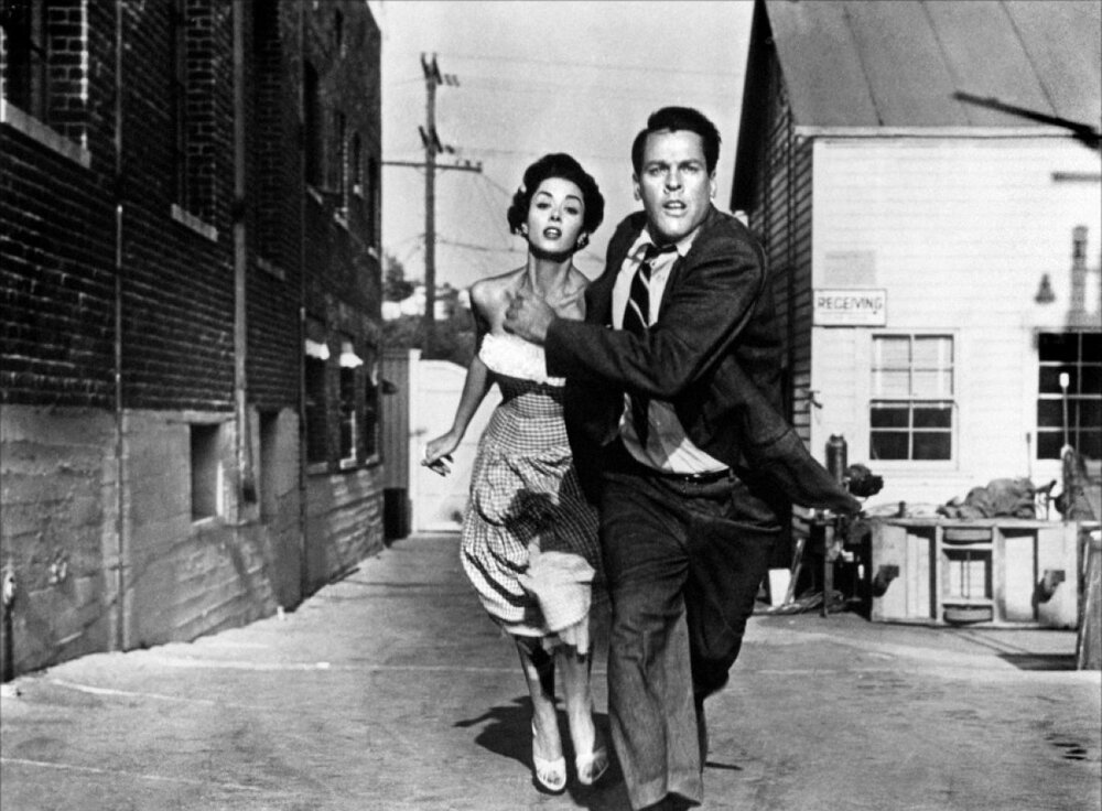 1956.天外魔花 黑白中字 高清 美国科幻惊悚恐怖 豆瓣7.8 Invasion of the Body Snatchers