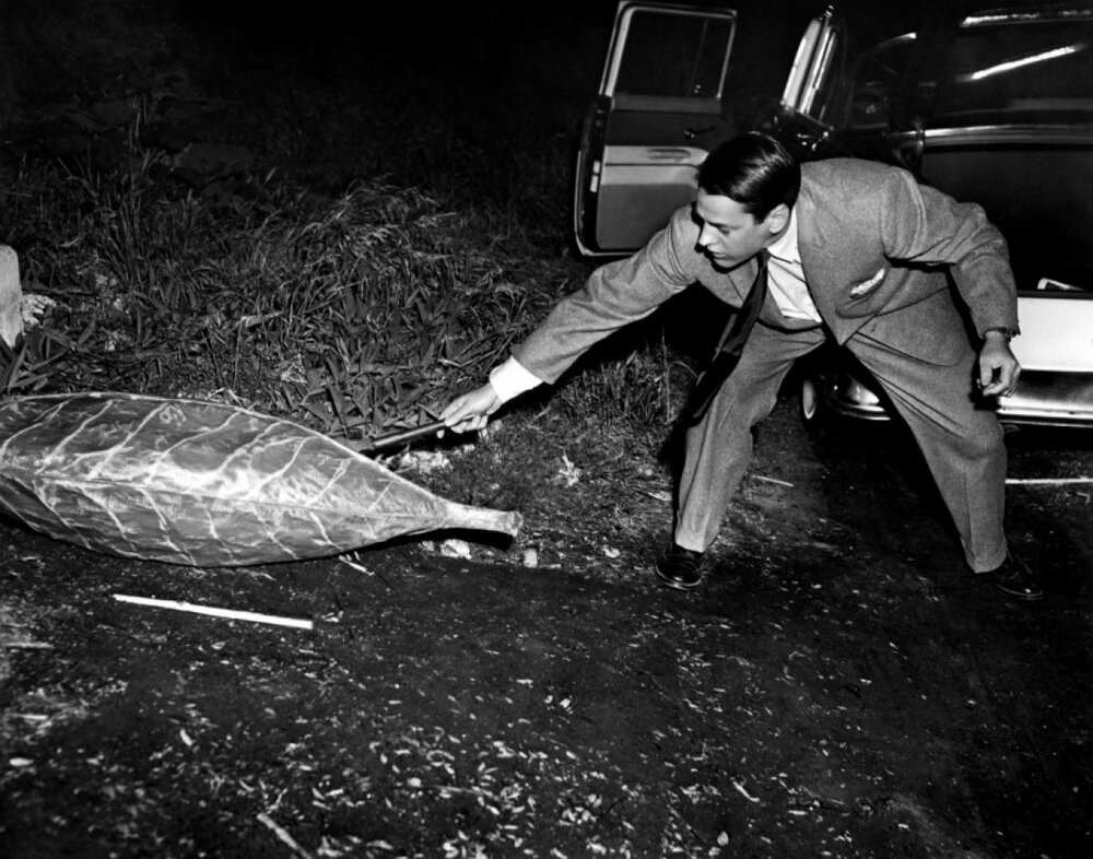 1956.天外魔花 黑白中字 高清 美国科幻惊悚恐怖 豆瓣7.8 Invasion of the Body Snatchers