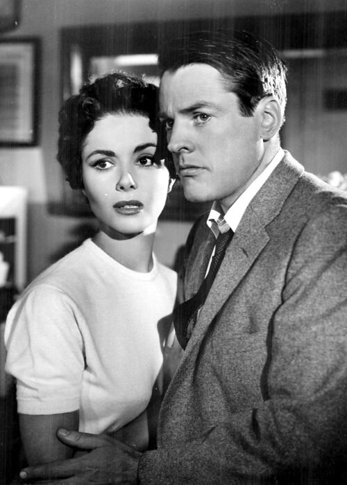 1956.天外魔花 黑白中字 高清 美国科幻惊悚恐怖 豆瓣7.8 Invasion of the Body Snatchers