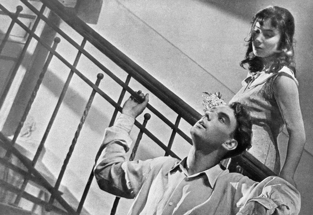 1957.雁南飞.黑白  国语 苏联爱情战争 高清 豆瓣8.8 The Cranes Are Flying.DVD.X264.AAC.HALFCD-