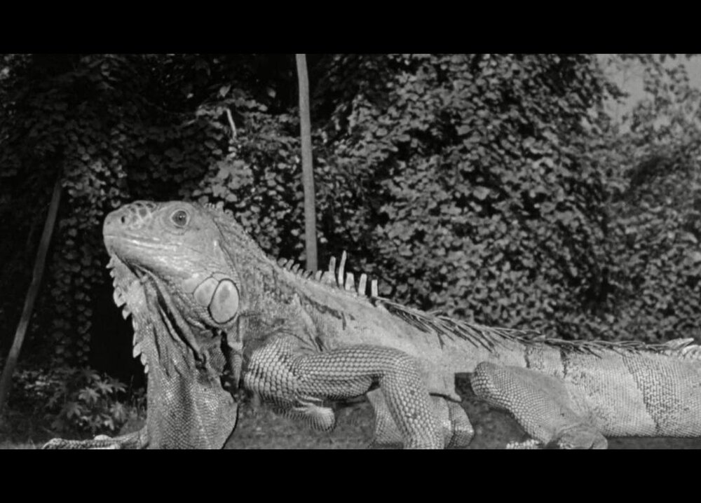 1957.独眼巨人 黑白 中字 美国科幻恐怖 高清 豆瓣无分 The Cyclops