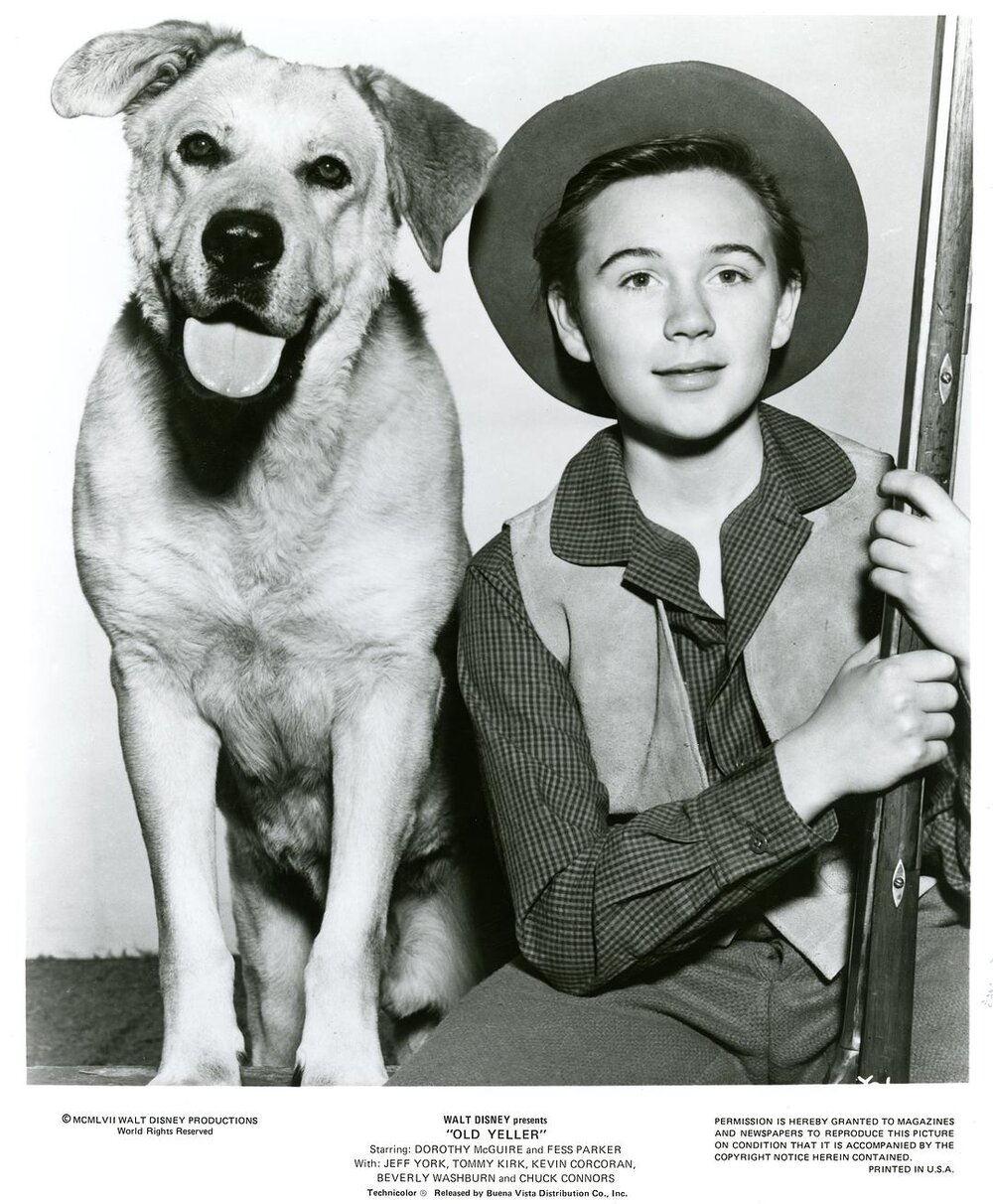 1957.老黄狗 彩色 中字 美国家庭西部冒险 高清 豆瓣8.0 Old.Yeller.BluRay