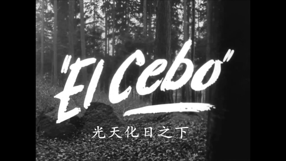 1958.光天化日之下 黑白 中字 德瑞西犯罪惊悚 高清 豆瓣7.7 Es.geschah.am.hellichten.Tag.BD.MiniSD-TLF