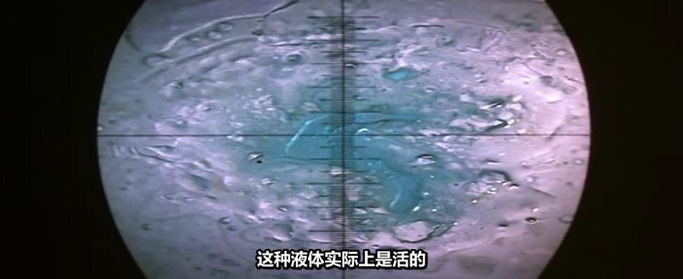 1958.美女与液体人 彩色 中字 日本科幻恐怖 标清 豆瓣6.8 美女と液体人間