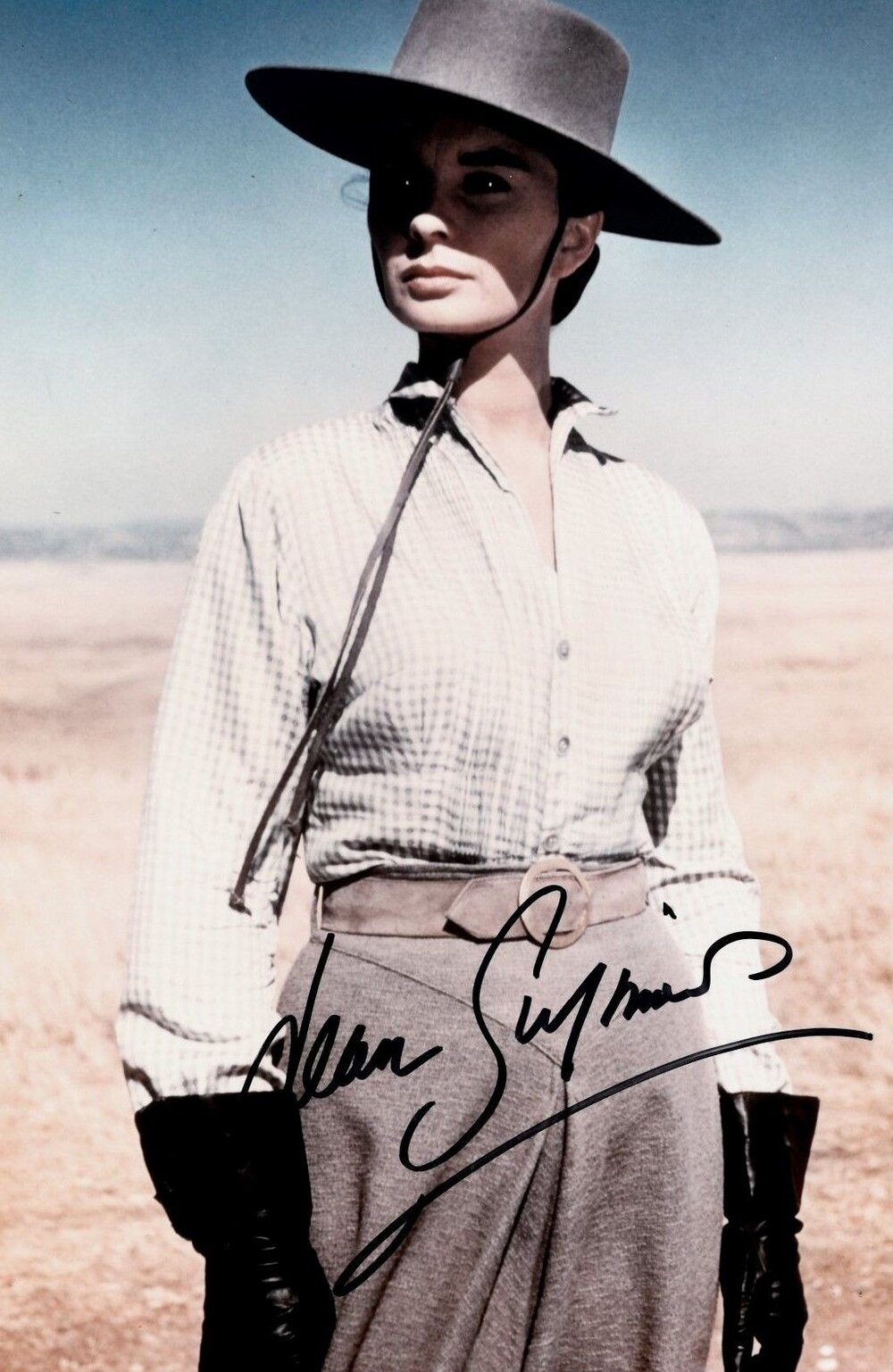 1958.锦绣大地.彩色 中字 美国爱情西部 高清 豆瓣7.9 The.Big.Country.BD.MiniSD-TLF
