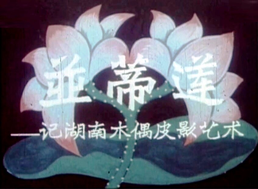1958.并蒂莲 彩色 标清