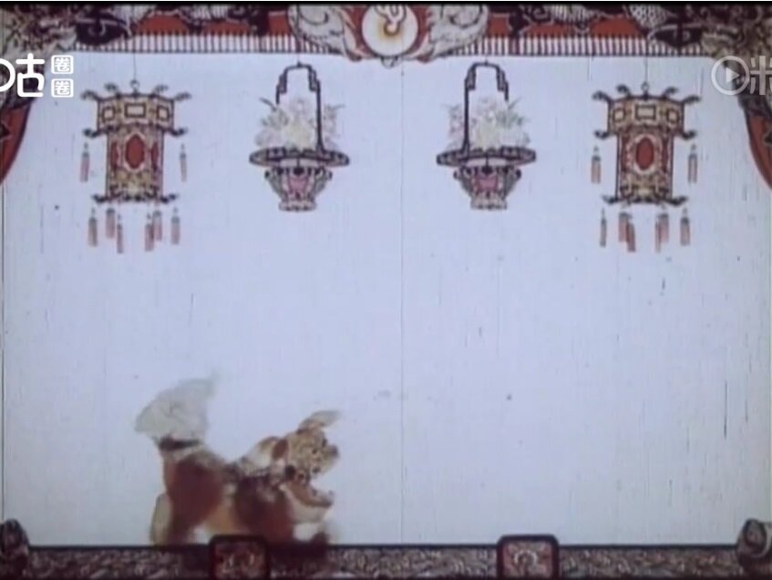 1958.并蒂莲 彩色 标清