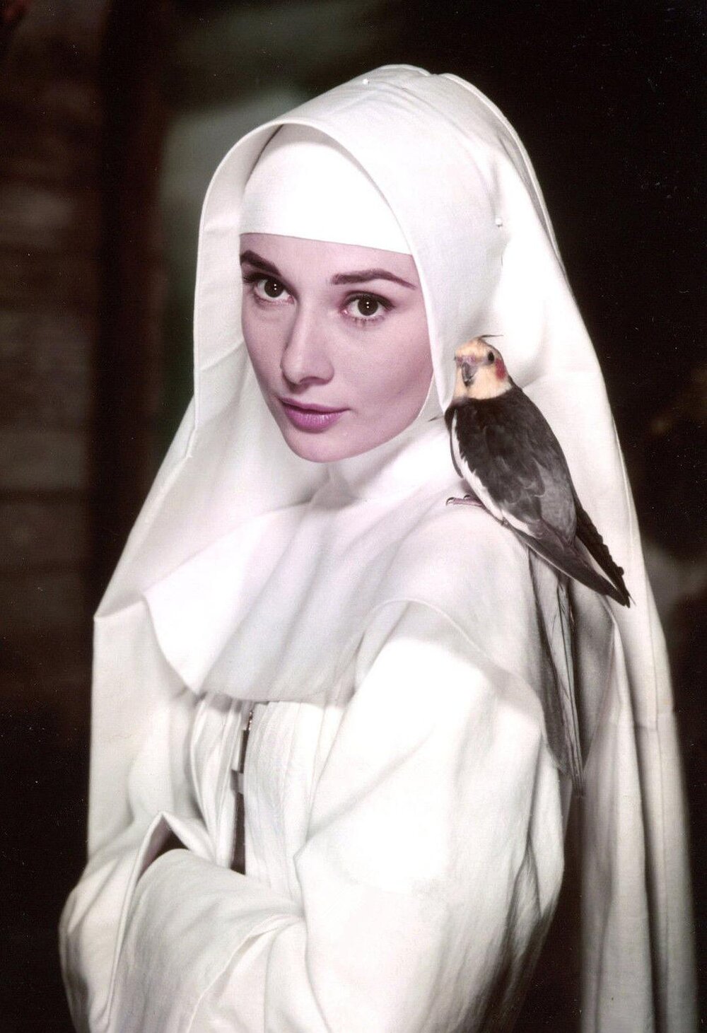 1959.修女传 奥黛丽·赫本系列07 The.Nuns.Story.1959.DVDRip.X264.AAC.HALFCD-NORM.Christian