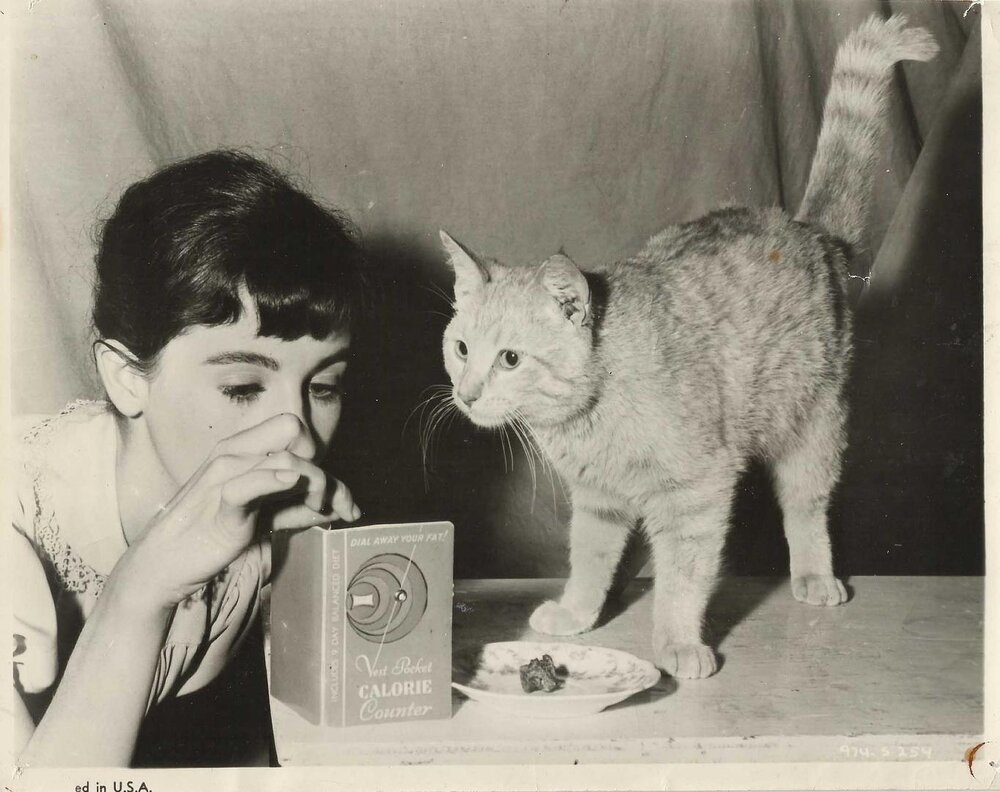 1959.安妮少女日记 黑白中字 高清 美国历史战争 豆瓣8.1 The.Diary.Of.Anne.Frank