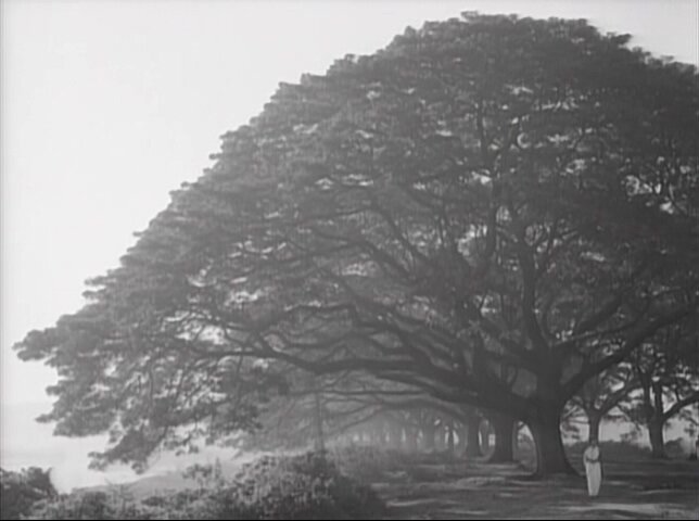 1960.云遮星 黑白 中字 高清 印度剧情 豆瓣7.7 .The.Cloud-Capped.Star.D9.MiniSD-TLF
