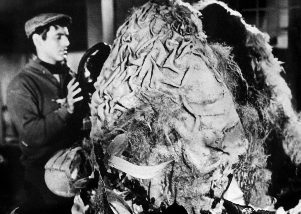 1960.恐怖小店.黑白无字 高清 美国喜剧恐怖 豆瓣7.1 The Little Shop of Horrors