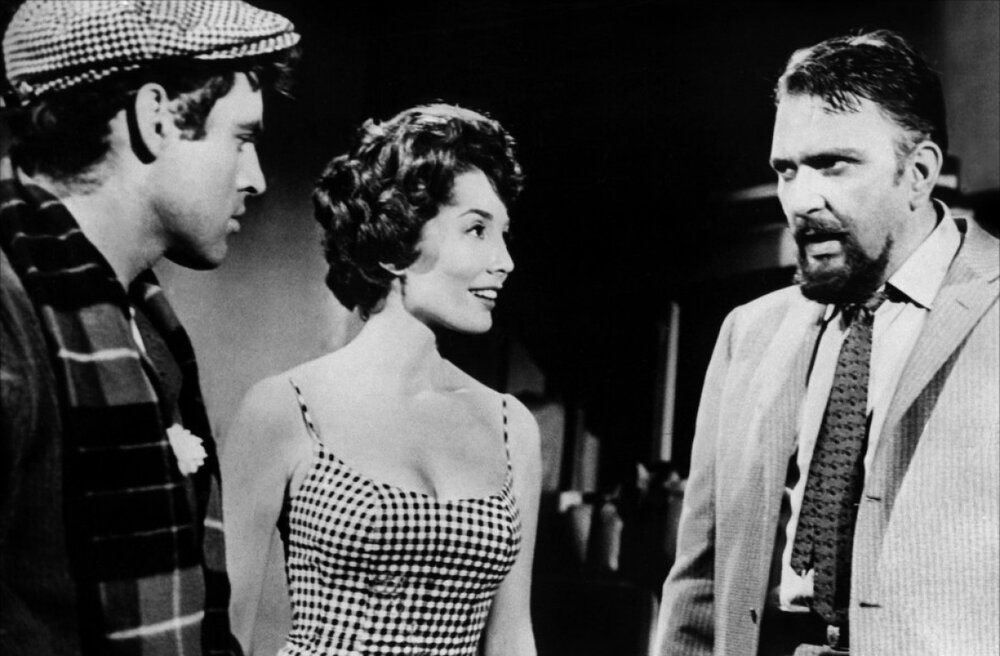 1960.恐怖小店.黑白无字 高清 美国喜剧恐怖 豆瓣7.1 The Little Shop of Horrors