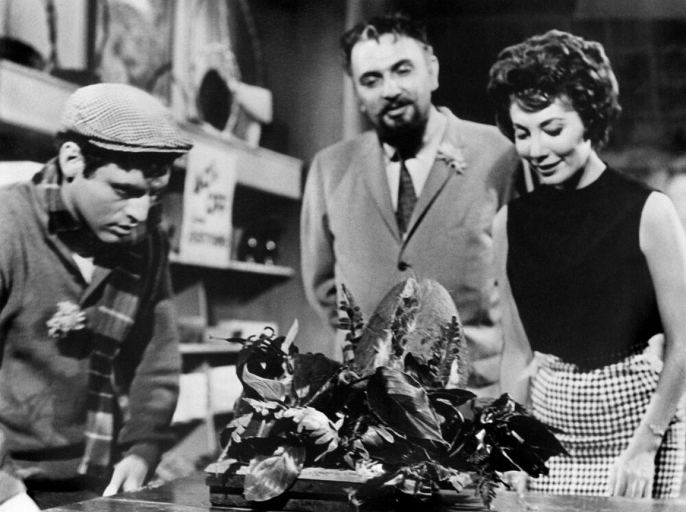 1960.恐怖小店.黑白无字 高清 美国喜剧恐怖 豆瓣7.1 The Little Shop of Horrors