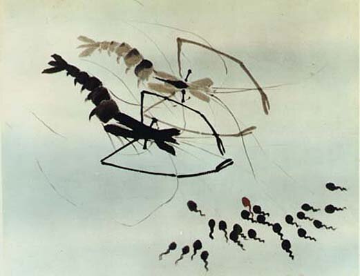 1960.小蝌蚪找妈妈 彩色 高清