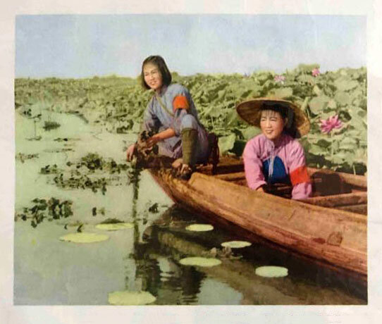 1961.洪湖赤卫队 彩色高清.北影战争音乐片 豆瓣7.4 谢添